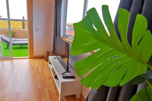 Apartamento Loft Bella Vista
