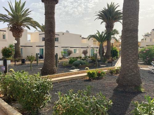 Apartamento Alisios Dream