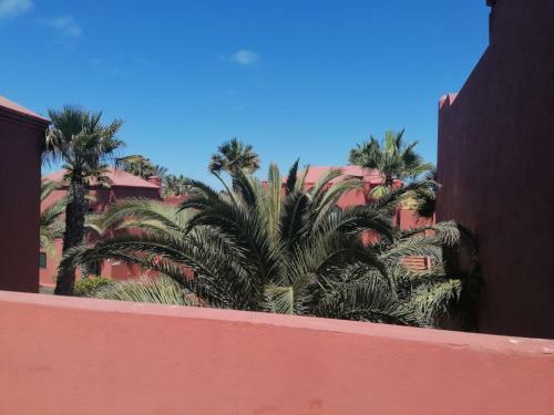Oasis Waves House