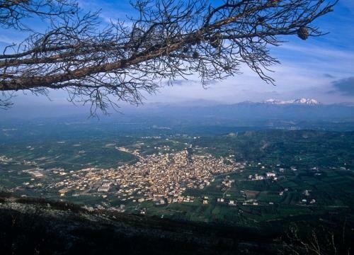 Apartamento Villa Orestis