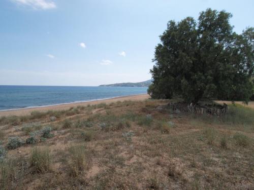 Apartamento Villa Voula
