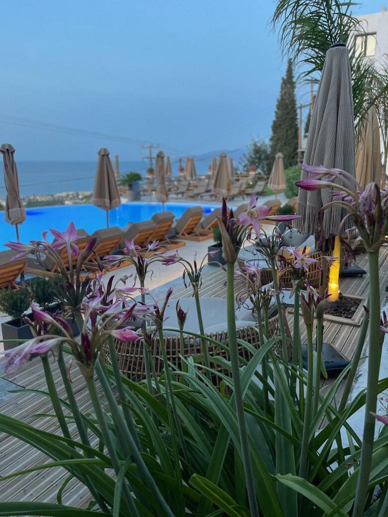Creta Blue Boutique Hotel
