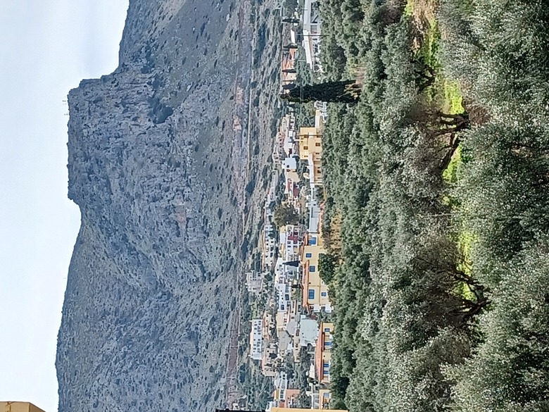 Apartamento Olympic Star