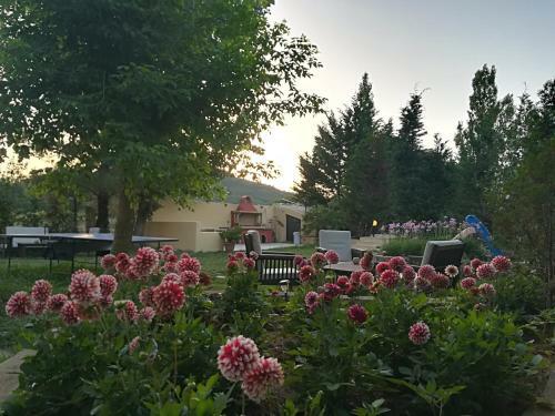 Hostal Villa Litsa