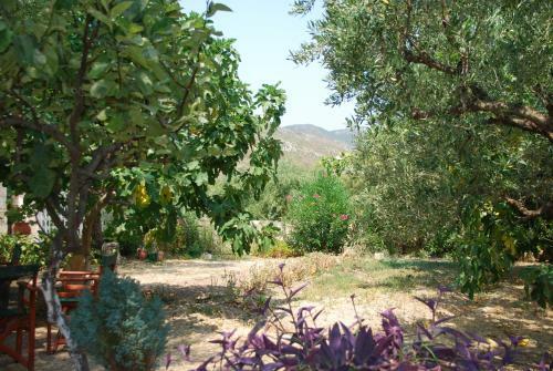 Hostal Anatoli Labreon