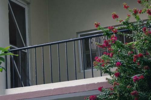 Hostal Laughing Buddha Hotel & Garden Theater