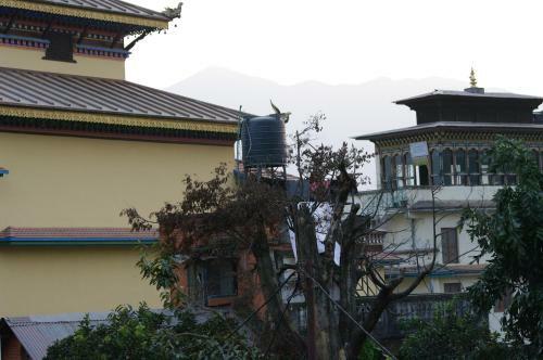 Hostal Laughing Buddha Hotel & Garden Theater