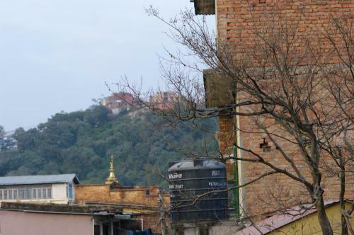 Hostal Laughing Buddha Hotel & Garden Theater