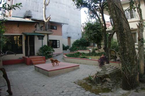 Hostal Laughing Buddha Hotel & Garden Theater