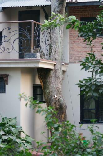 Hostal Laughing Buddha Hotel & Garden Theater