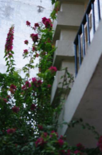 Hostal Laughing Buddha Hotel & Garden Theater