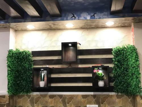 Hotel Paradise Valley View