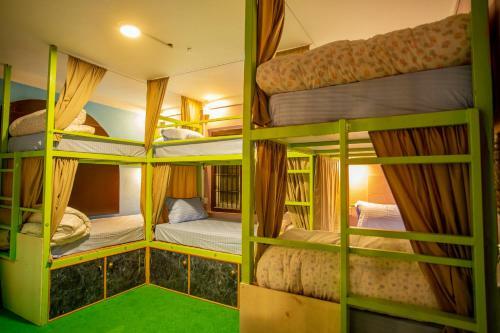 Big Tree Hostel
