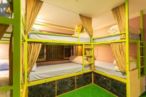 Big Tree Hostel