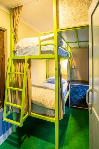Big Tree Hostel
