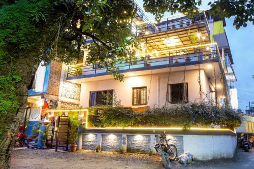 Big Tree Hostel