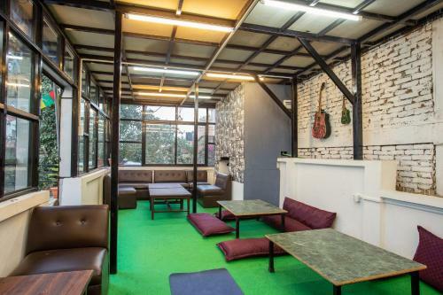 Big Tree Hostel