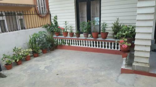 Bed & Breakfast Bnb Royal Tourist House