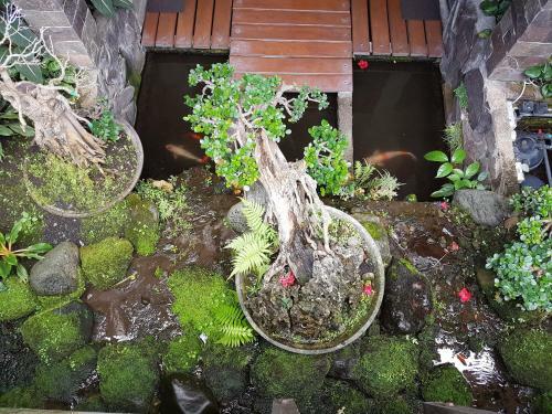 Hostal Jos&hanny