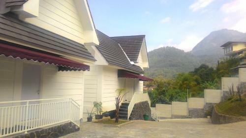 Posada Amaranta Guest House