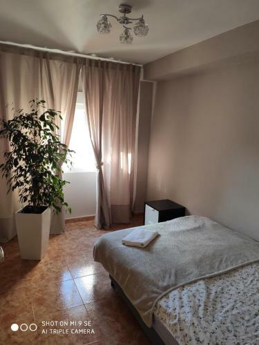 Apartamento Moncada