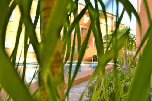 Apartamento El Rinc�n de Denia - Paraiso Del Sol