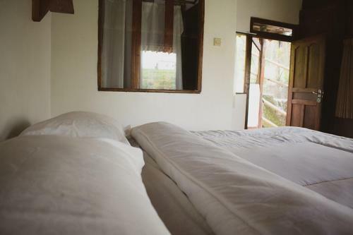 Hotel Taman Dolan Home & Resort