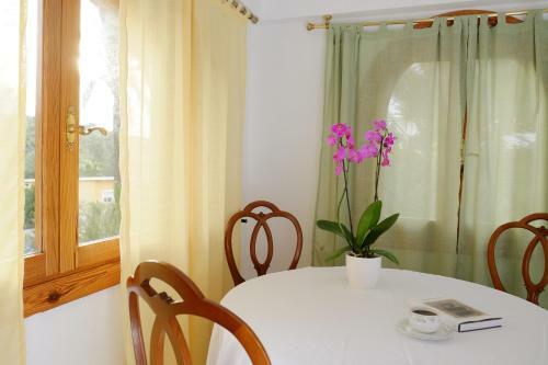Hostal Open Sky Villa