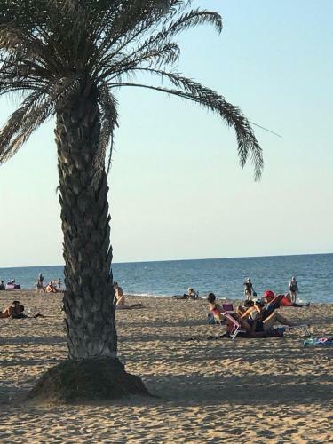 Apartamento Estudios Ram�n Llull