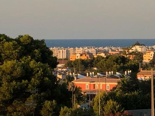 Apartemento Monika Monte Pedrera C 4 Top Aussicht