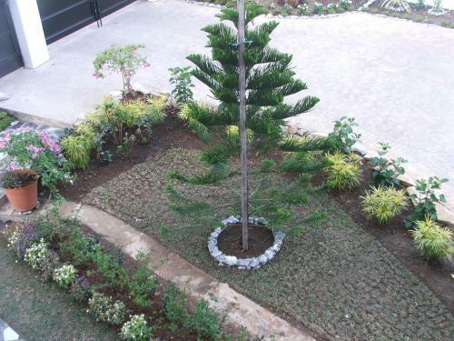 Apartamento Davimar House