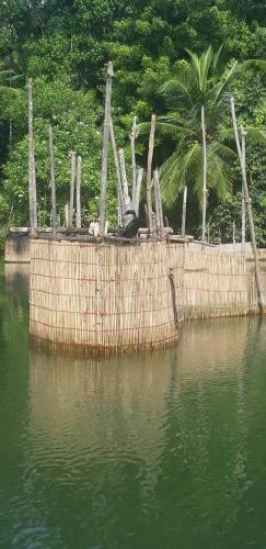 Rashmi Homestay