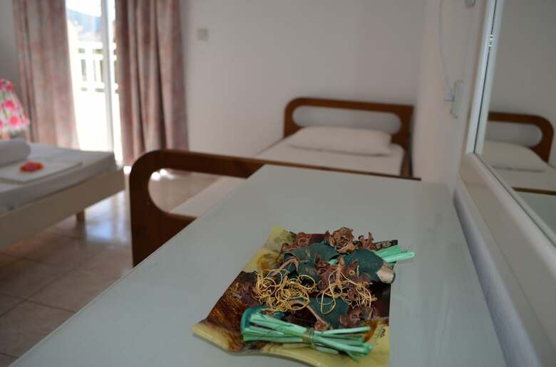 Aparthotel Kremasti Memories
