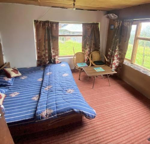 Hostal Freedom Palace
