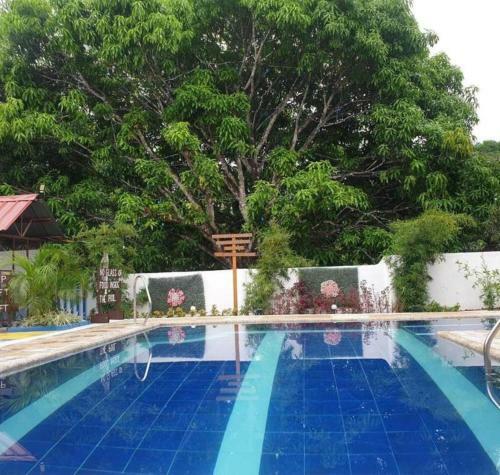 Bed & Breakfast Villa Susane