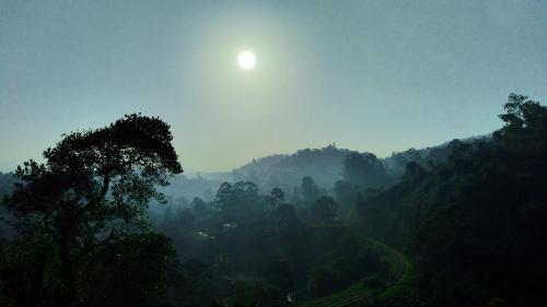 Posada Lucky Star View Inn