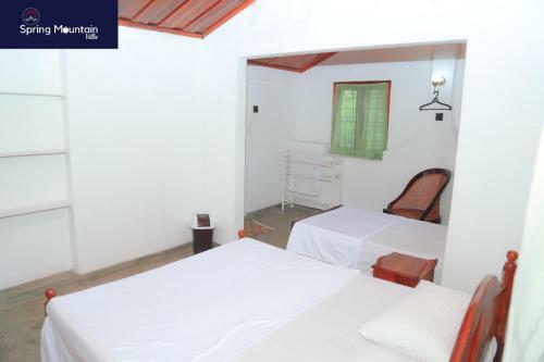 Spring Mountain Villa