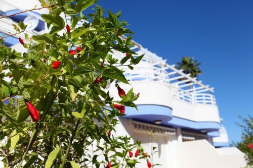 Apartamento Marina Blau 1