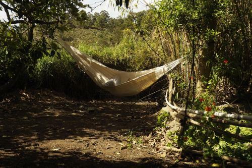 Hostal Finca Flor De Ciruelo