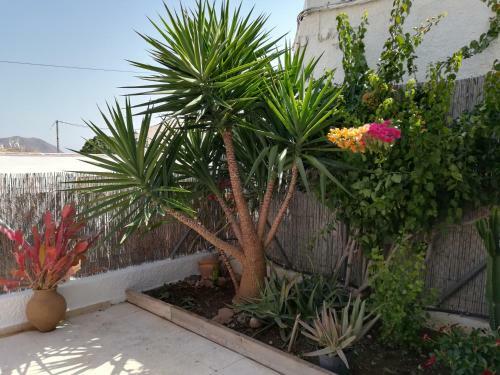 Hab. Privada Cabo De Gata