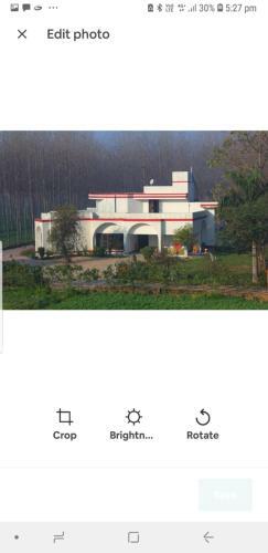 Bed & Breakfast The Ficus