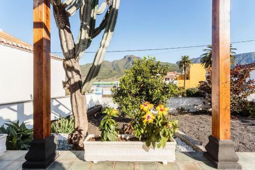 Bungalow Los Laureles