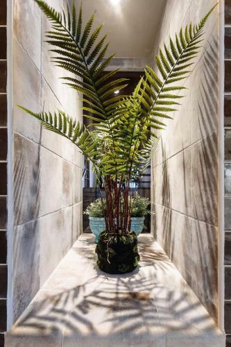 Bungalow Los Laureles