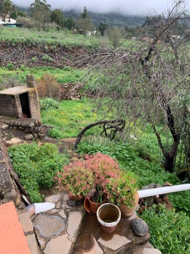 Apartamento Casa Nimar