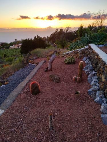 Puesta De Sol