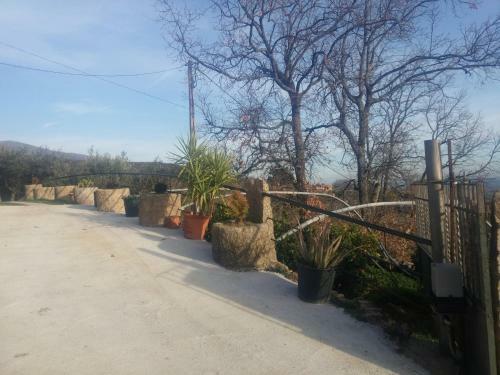 Casa Cala�as