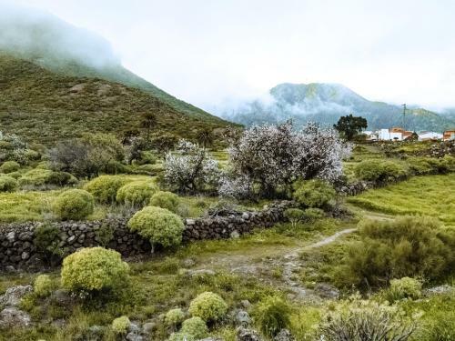 Villa Luxus Finca In Der Natur Mit Pool
