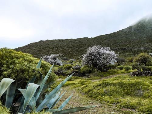 Villa Luxus Finca In Der Natur Mit Pool