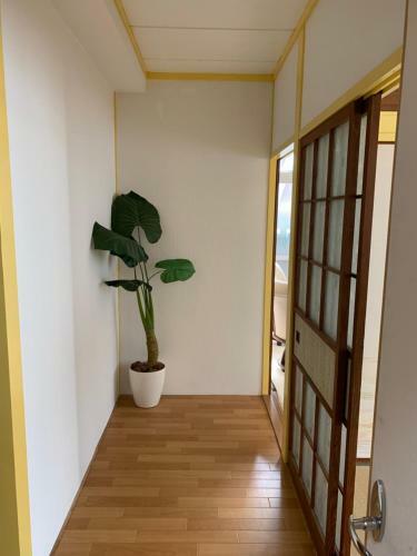 Apartamento ??house