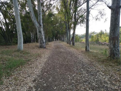 Apartamento 1ere Soleil Levant